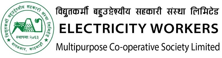 Electricity Worker